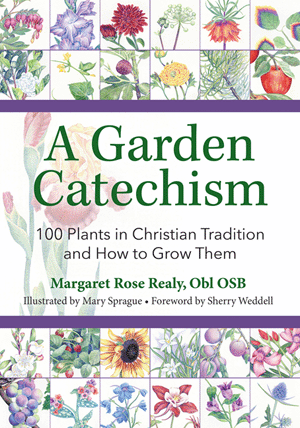 A Garden Catechism 100 Plants in Christian Tradition and How to Grow Them   Margaret Rose Realy, Obl OSB Illustrated by Mary Sprague