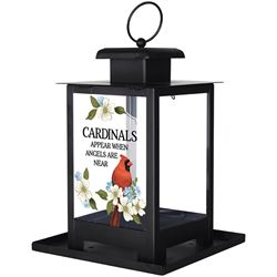 Cardinals Appear When Angels Are Near Bird Feeder