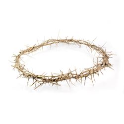 Crown of Thorns 24 Inch