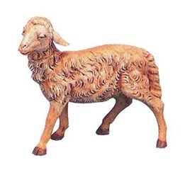 Head Straight Sheep for 12" Fontanini Nativity