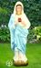 Immaculate Heart of Mary 36" Statue, Colored