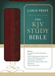 KJV Study Bible Lg Print Imitation Leather /Brown
