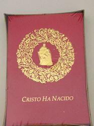 Nativity Christmas Card (Spanish)