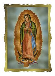 Our Lady of Guadalupe Mass Card 50/Box