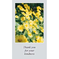 Thank You for Your Kindness Paper Prayer Card, Pack of 100