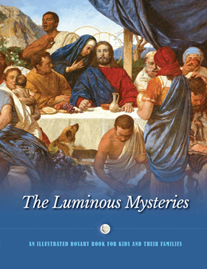 The Luminous Mysteries An Illustrated Rosary Book for Kids and Their Families   Jerry Windley-Daoust, Mark Daoust