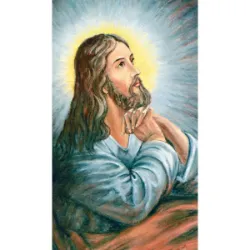 WWJD What Would Jesus Do? Paper Prayer Card, Pack of 100